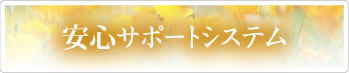 安心サポートシステム