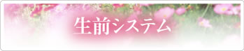 生前システム
